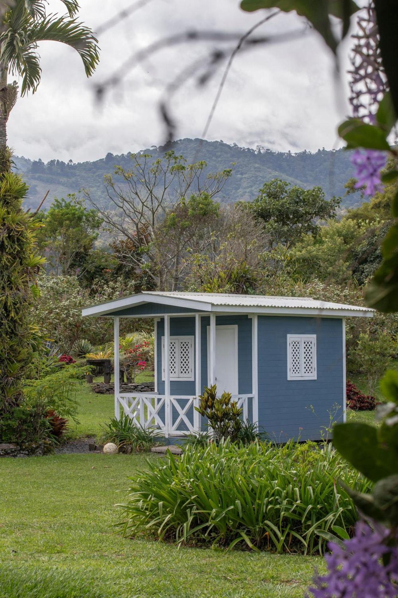 Bed and Breakfast Aquiares Coffee Farm Casa Hacienda La Esperanza Turrialba Exterior foto