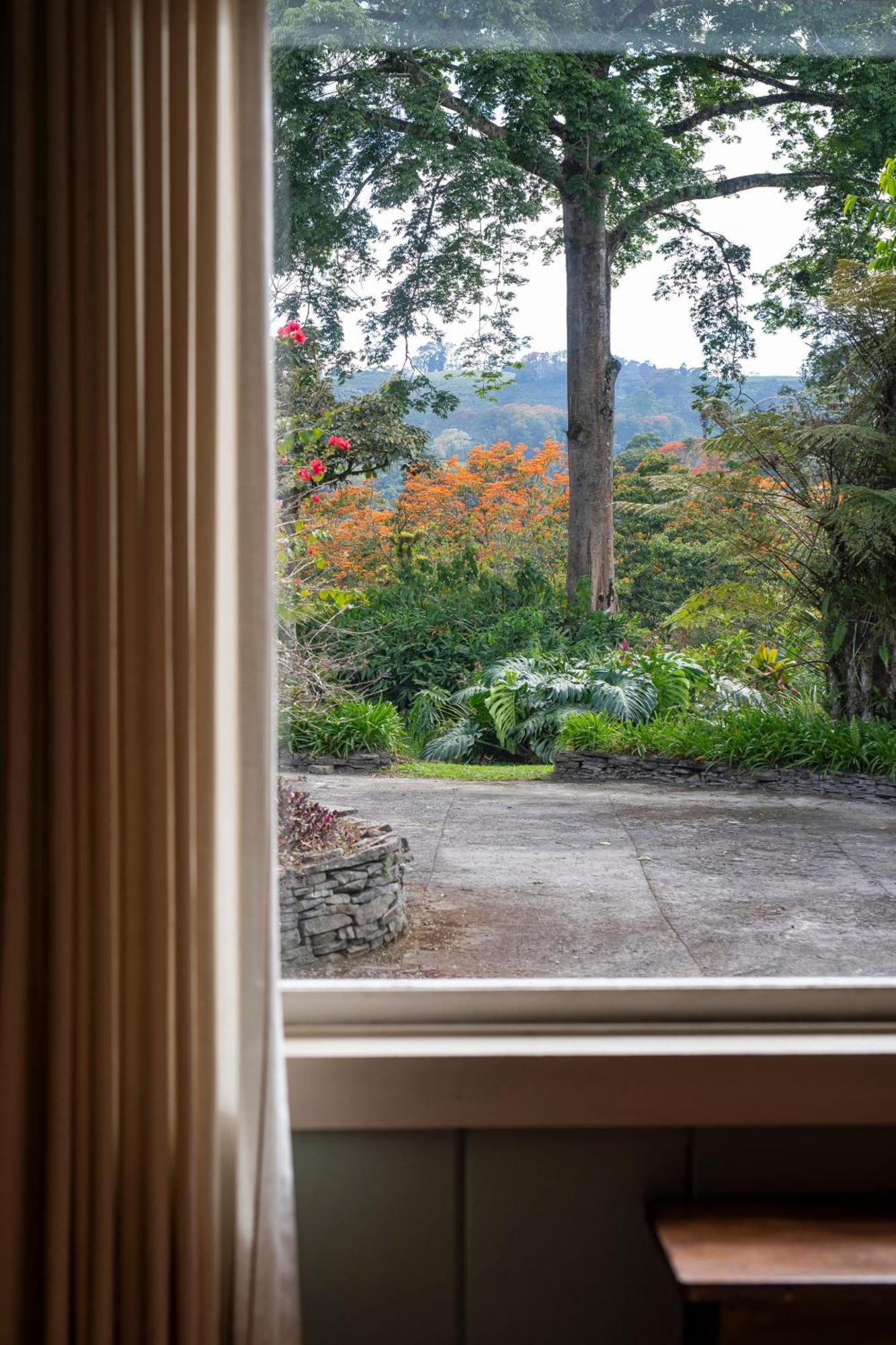 Bed and Breakfast Aquiares Coffee Farm Casa Hacienda La Esperanza Turrialba Exterior foto