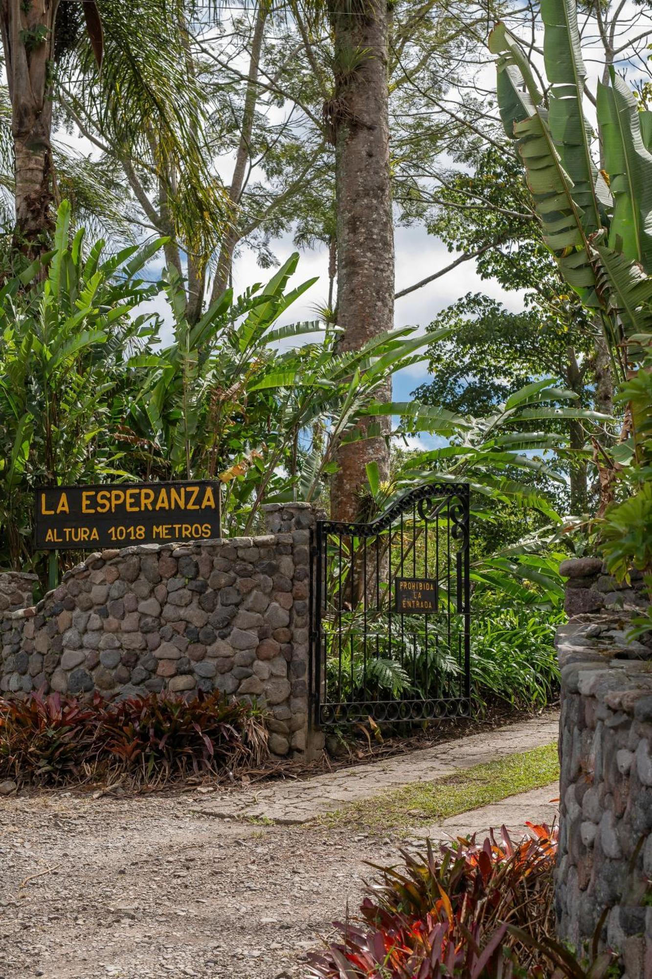 Bed and Breakfast Aquiares Coffee Farm Casa Hacienda La Esperanza Turrialba Exterior foto