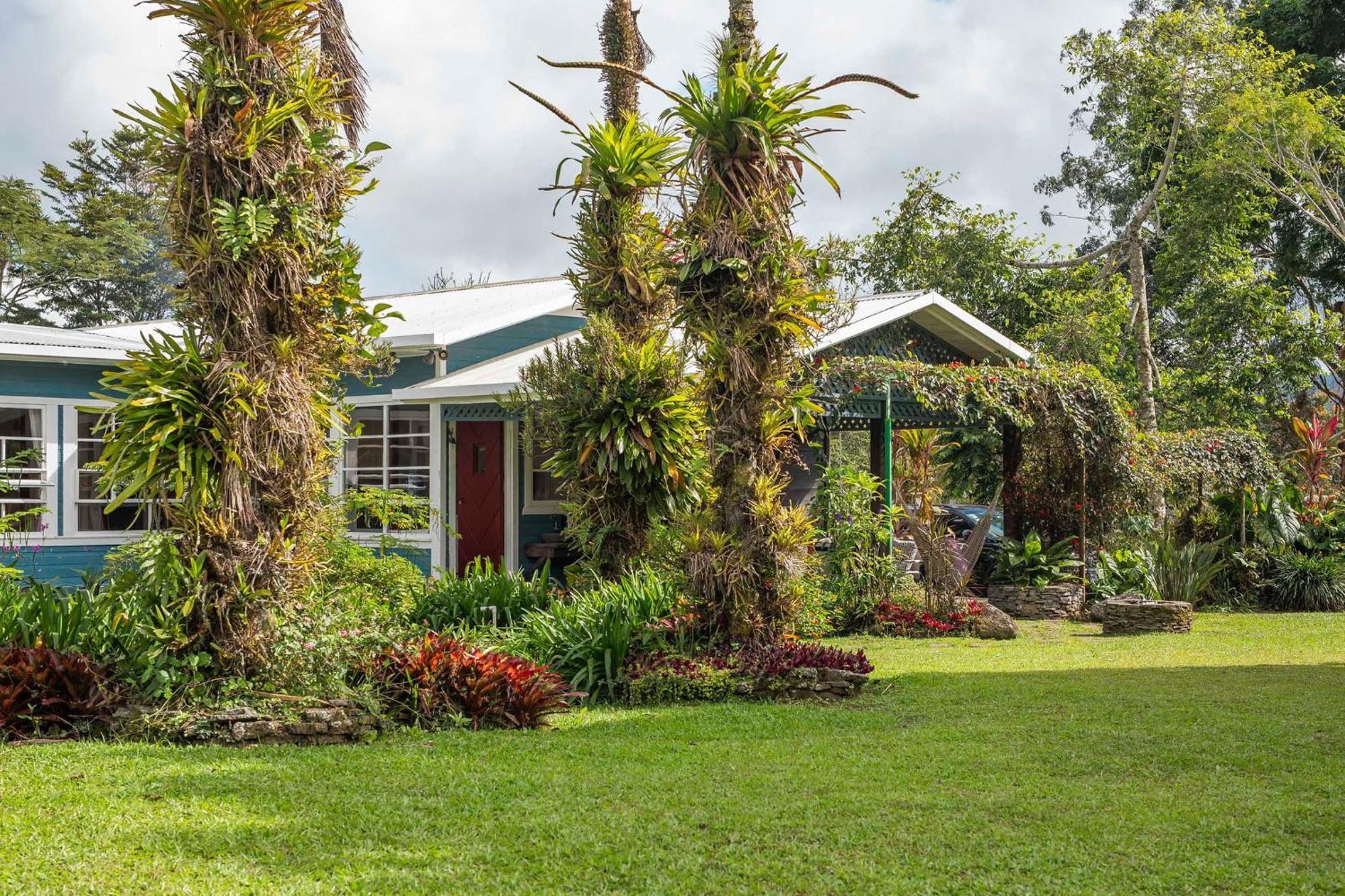 Bed and Breakfast Aquiares Coffee Farm Casa Hacienda La Esperanza Turrialba Exterior foto